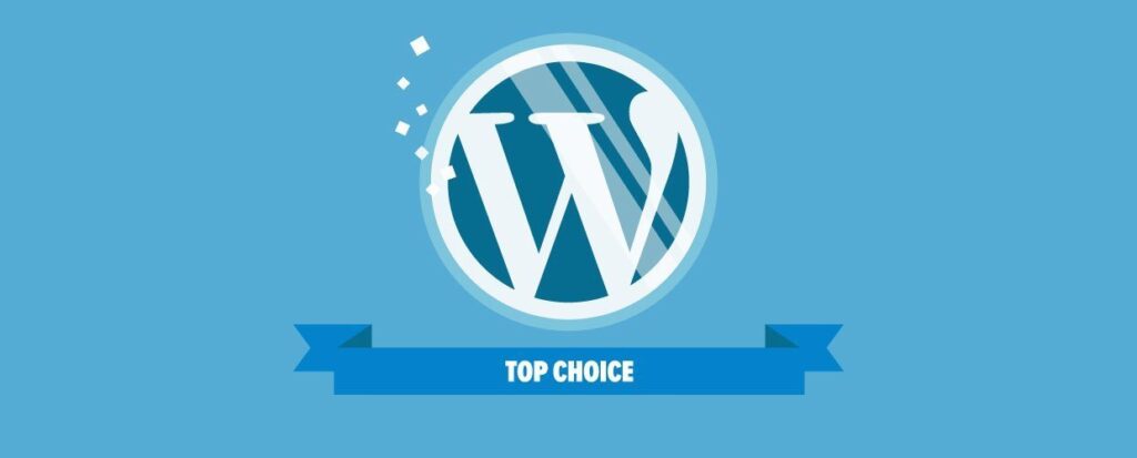 What is WordPress: An Introduction to the Most Popular CMS